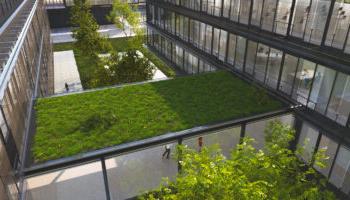 Image Of A Green Building Exterior, Where A Walkway Roof Has Grass And Common Areas Are Greenspace.